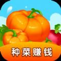 央视影音安卓电视版下载